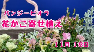ピンクかわいい♥パンジービオラの花かご寄せ植え