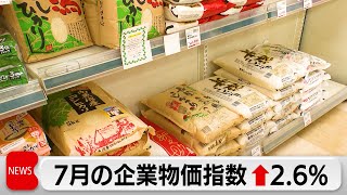 7月国内企業物価指数2.6％上昇　農林水産物の高水準続くもガソリン価格低下で伸び率鈍化