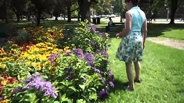 ROM Scientist: Deborah Metsger