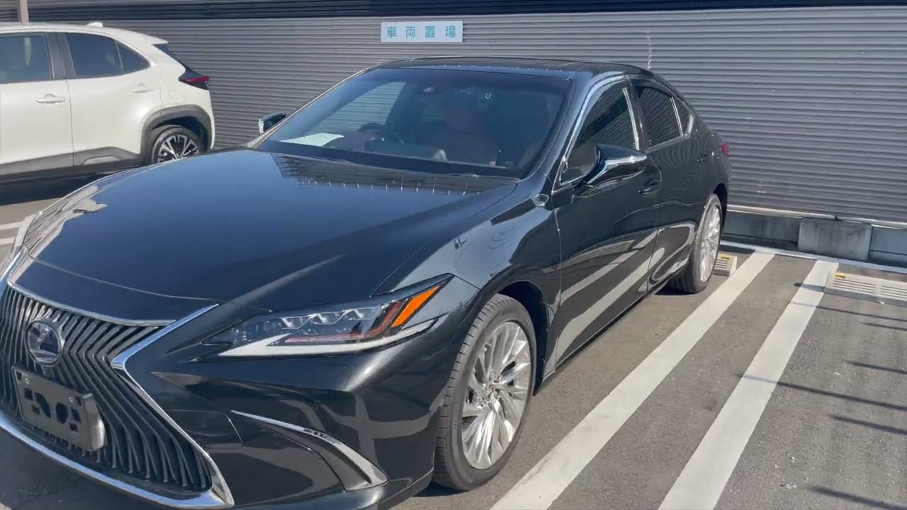 車を買いに行く、埼玉と千葉に