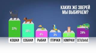 ZOOQI: Почему люди заводят себе питомцев? ZOOQI: Почему люди заводят себе питомцев?