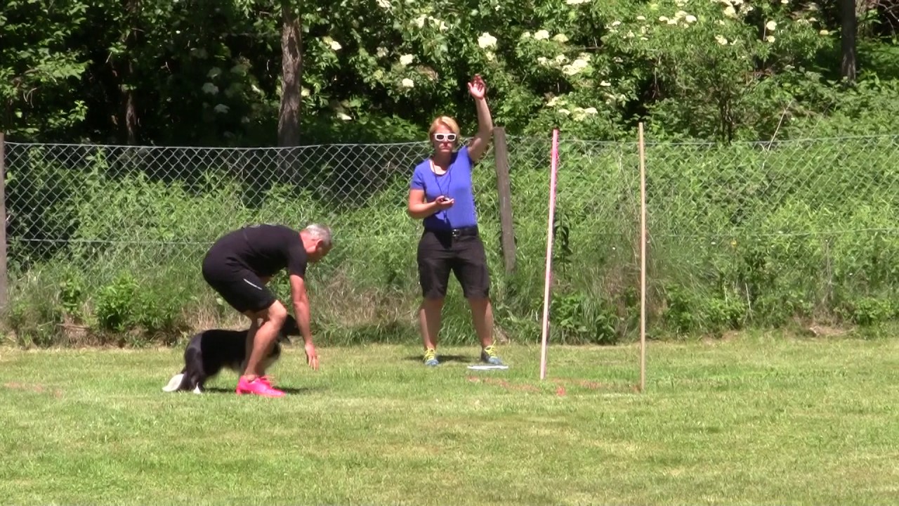 Rocco Amberger mit Gladys  Breitensport Ortsgruppen -Prüfung SVÖ Knittelfeld  Hindernisbahn