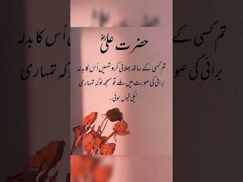 مولا علی شیر خدا رضی اللہ تعالی عنہ نے فرمایا