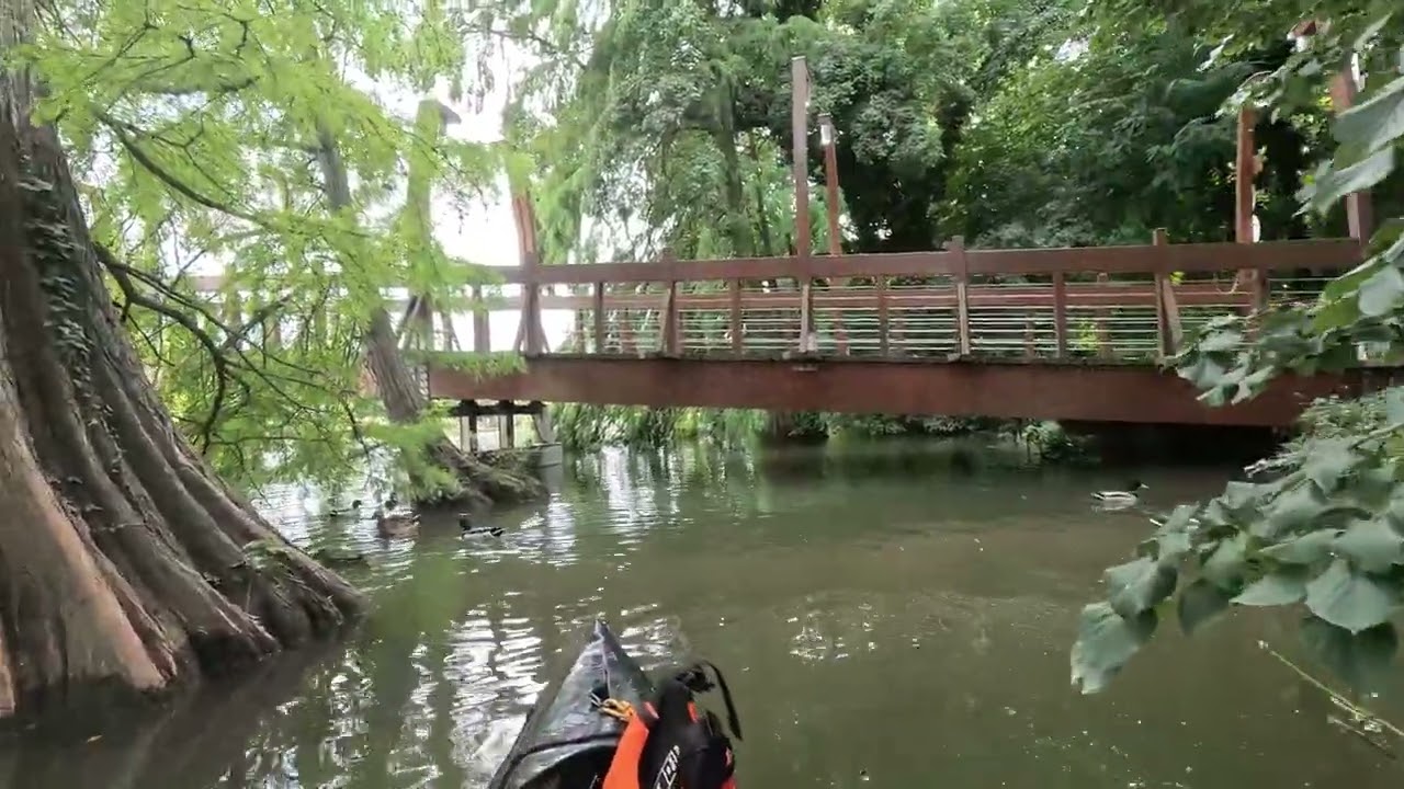 Szarvas / Kákafoki-holtág 2023.10.01.