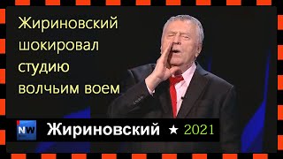 Волчий вой Жириновского шокировал студию  28.03.2021