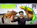 BEST LURE COLOR for Muddy Waters?! (Spring PIKE FISHING)