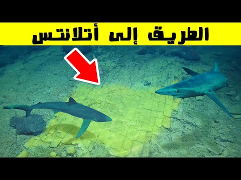 عثر العلماء على طريق معبد على عمق 1029 متر تحت الماء