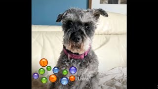 Losing Your Marbles?