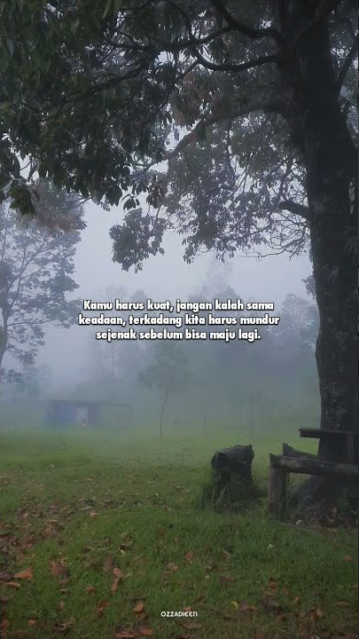 Everglow - Coldplay (Story WA)