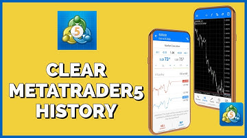 How to Clear History on MetaTrader 5 2023?