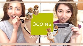 【 3COINS】犬の冷感グッズオススメ♪ 夏用  涼しい服 夏涼しい服  購入品 ひんやりグッズ ドッグウェア ドッグウェア 愛犬 愛犬家 もぐちゃんねる