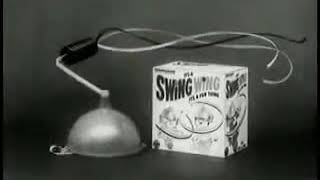 Swing Wing