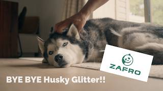 MY HUSKIES Shed WAYYY too much!!