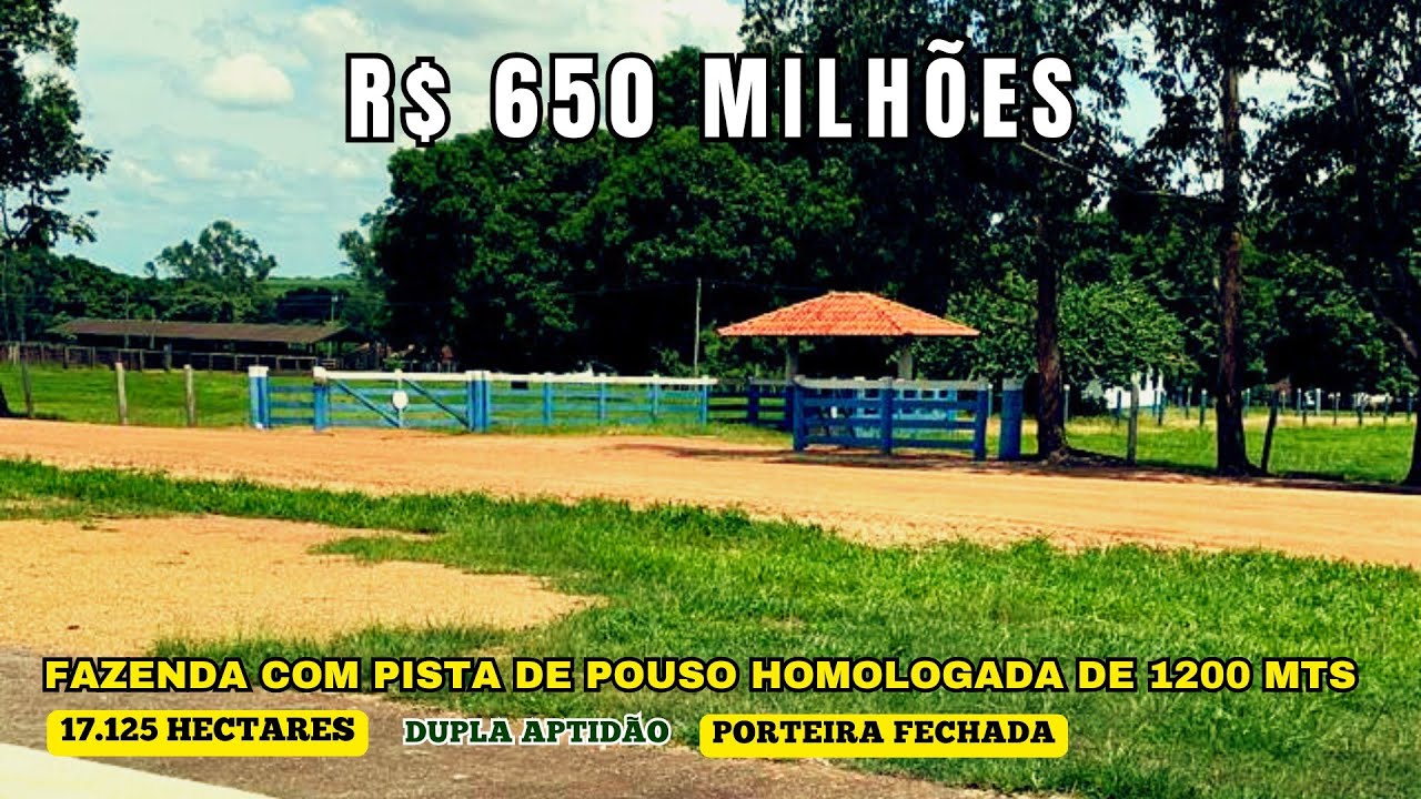 Fazenda Gigante no Tocantins! 17 125 Hectares de Soja, Gado e Seringueira – Estrutura Completa