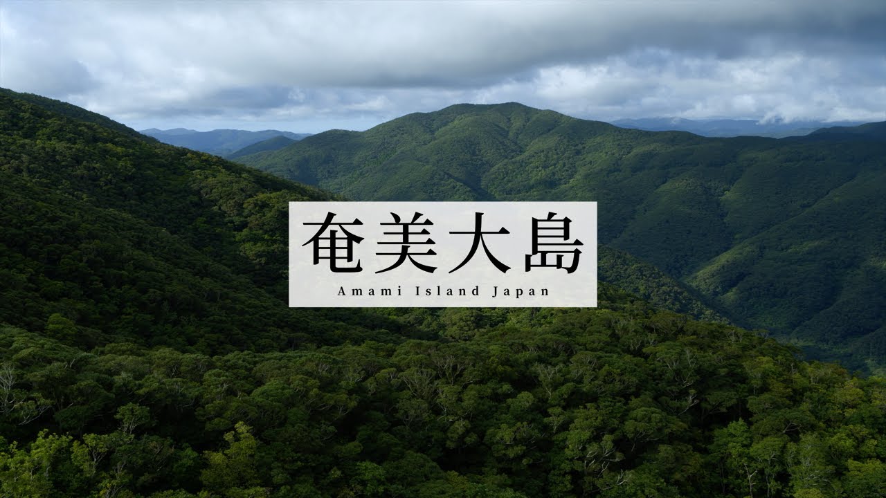 奄美 : 神々とともに暮らす島 Yahoo!オークション - 奄美 AMAMI 神々とともに暮らす島 失