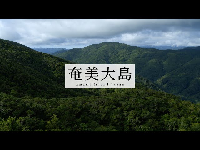 奄美大島 Amami Island, Japan in 8K - YouTube
