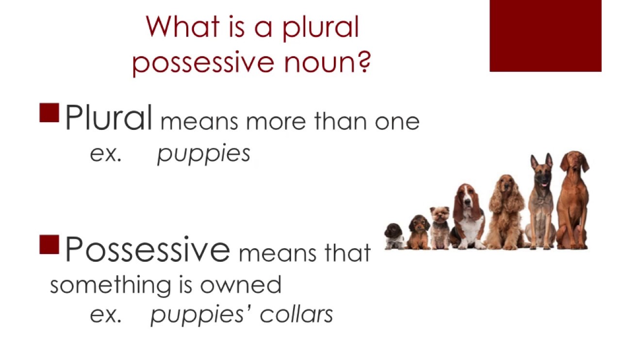 6th-grade-plural-possessive-nouns-youtube