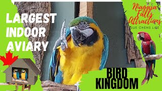 The Worlds Largest Free-Flying Indoor Aviary # Bird Kingdom# Niagara Attractions
