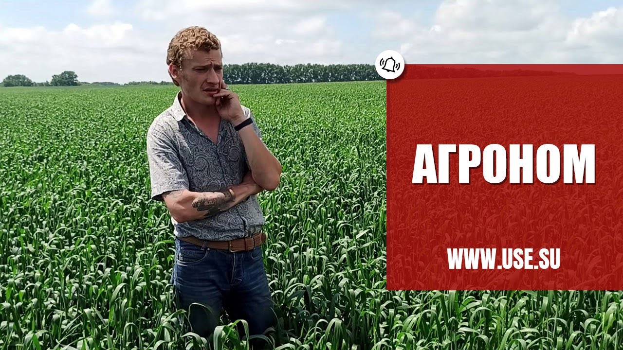 найти работу агрономом