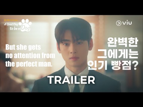 Teaser | A Good Day to be a Dog | Viu