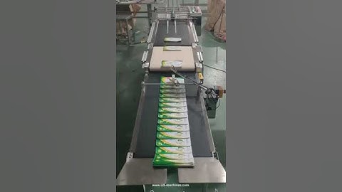 Bag paging machine with bag collection conveyor