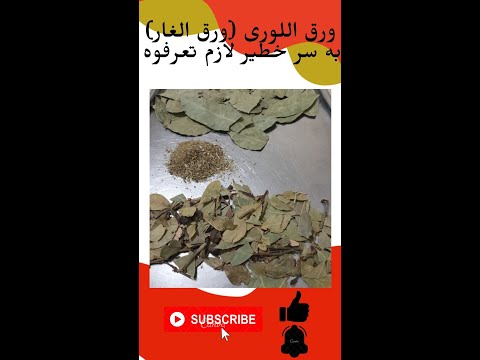 ورق اللوري ورق الغار سر خطير لازم تعرفوه يوميات صفيه شريف الحلقه 117 Shorts Laurel