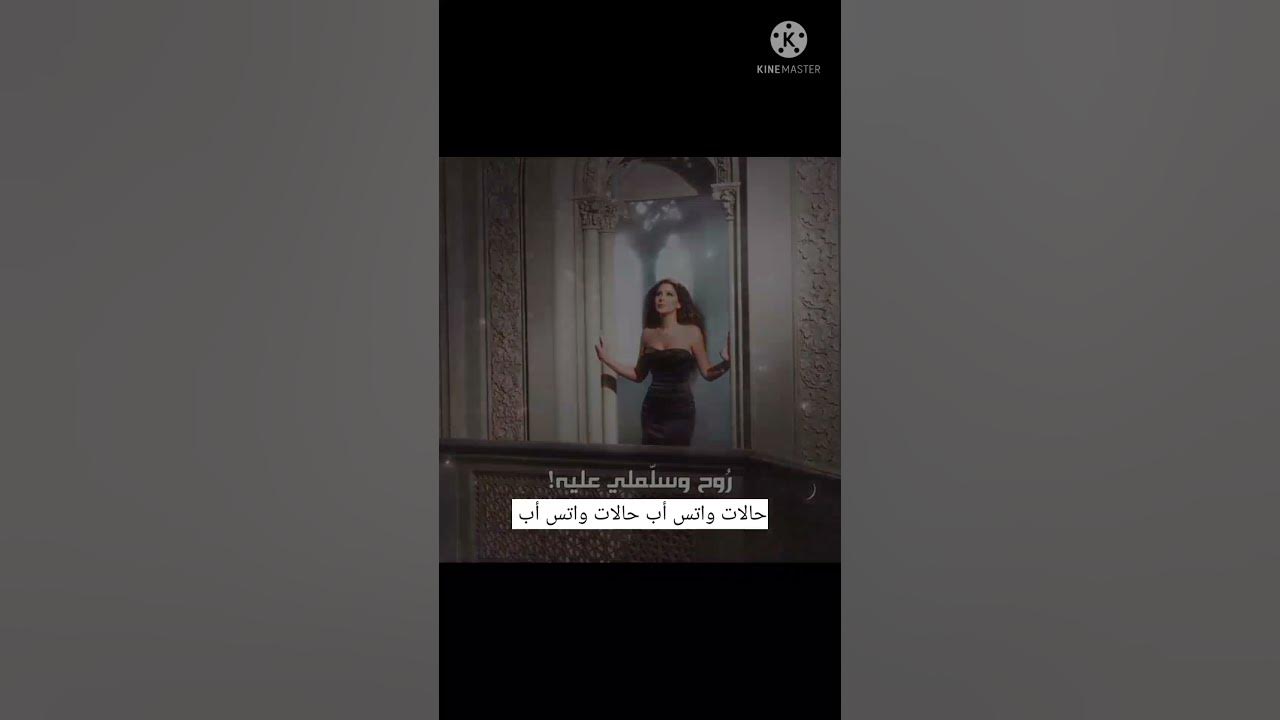 حالات واتس أب 《سلملي عليه》إليسا