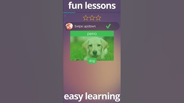 Mondly Languages - app preview (short)