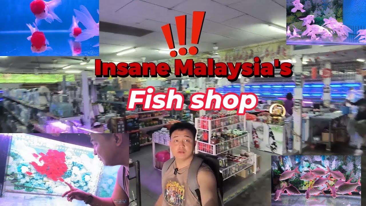 တစ်နာရီလောက်ပတ်တာတောင် အစုံအမြင်ရသေးတဲ့ငါးဆိုင်။