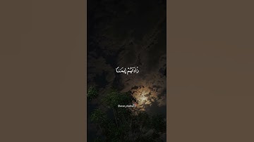 الذين إذا ذكر الله وجلت قلوبهم | سورة الأنفال | المنشاوى