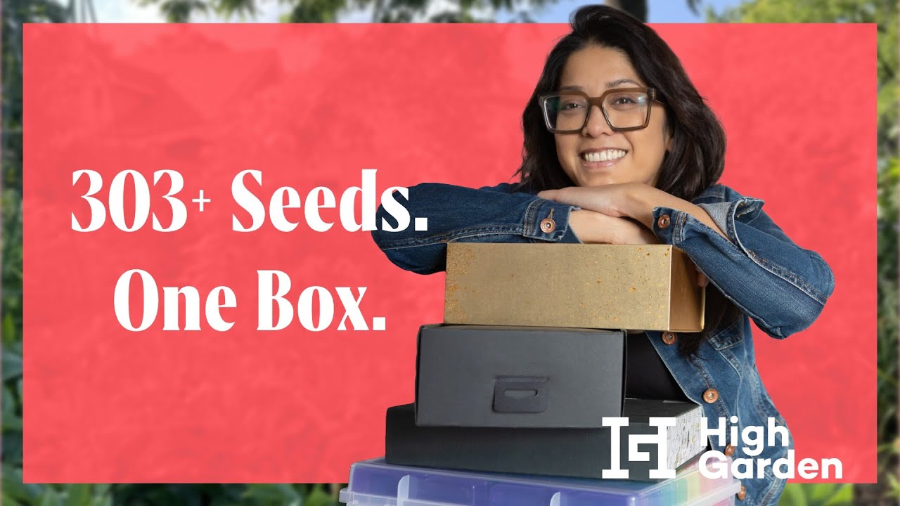 How to Organize Seed Packets by Month (So You Always Sow on Time)