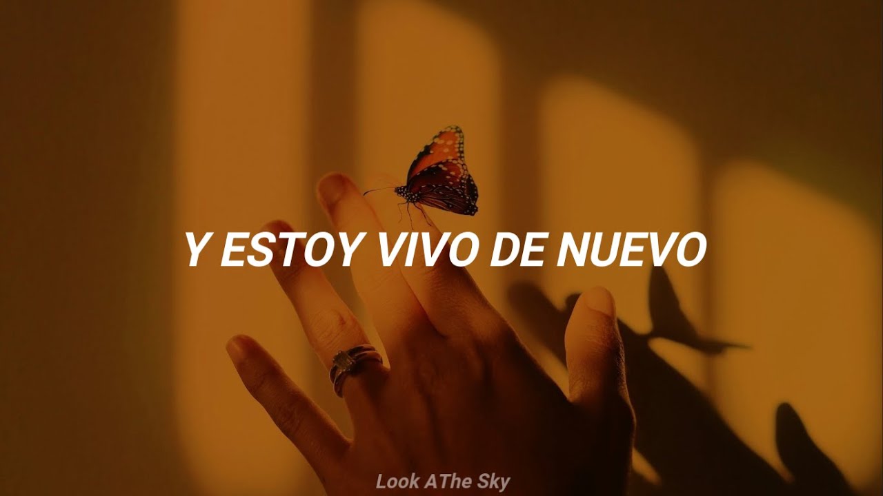 Johnny Stimson Butterflies (Traducida al Español) YouTube