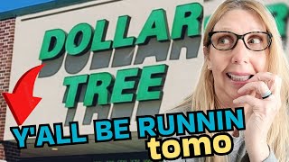 INCREDIBLE DOLLAR TREE HAUL | Most I ever spent! Brand NEW Seasonal Items! IT’S SO GOOD!!