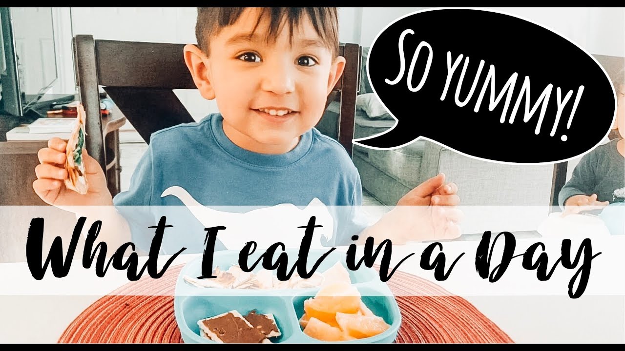 WHAT MY 3 YEAR OLD EATS IN A DAY MEAL IDEAS FOR KIDS YouTube