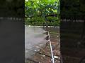 routine pest control once a week #agriculture #grapefarm #gardening