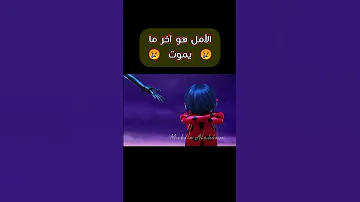 فقدت الدعسوقة الأمل تصميم ميراكلس الدعسوقة والقط الاسود 