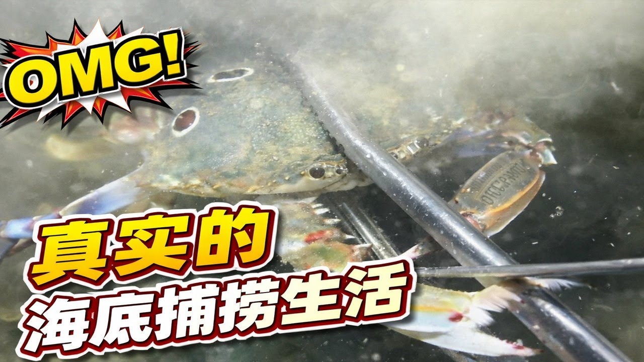 真实的海底捕捞生活