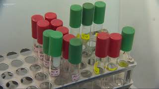 Reed student breeds plastic-eating bacteria