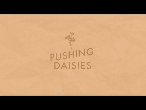 The 502s - Pushing Daisies (Lyric Video)