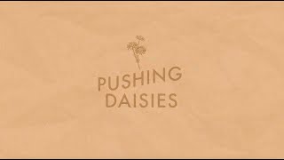 The 502s  Pushing Daisies  