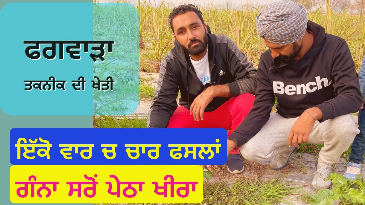 70 ਗੰਨਿਆਂ ਨਾਲ ਤੇ 6 ਗ੍ਰਾਮ ਸਰੋਂ ਨਾਲ ਬੀਜਿਆ ਇੱਕ ਏਕੜ/ ਪੇਠਾ ਅਤੇ ਖੀਰਾ ਬੀਜ ਕੇ ਵਾਧੂ ਕਮਾਈ ਕੀਤੀ/ ਫਗਵਾੜਾ ਵਿਧੀ