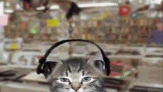 Ejay Dj Tomato Moonlight