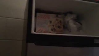 Neumann University Dorm Tour