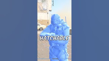 No Way Valve’s Adding PETS to CS2?!💀