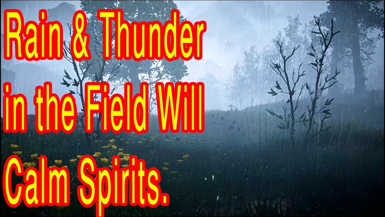 powerful-thunder-rain-in-the-field-perfectly-relaxing-thunderstorm