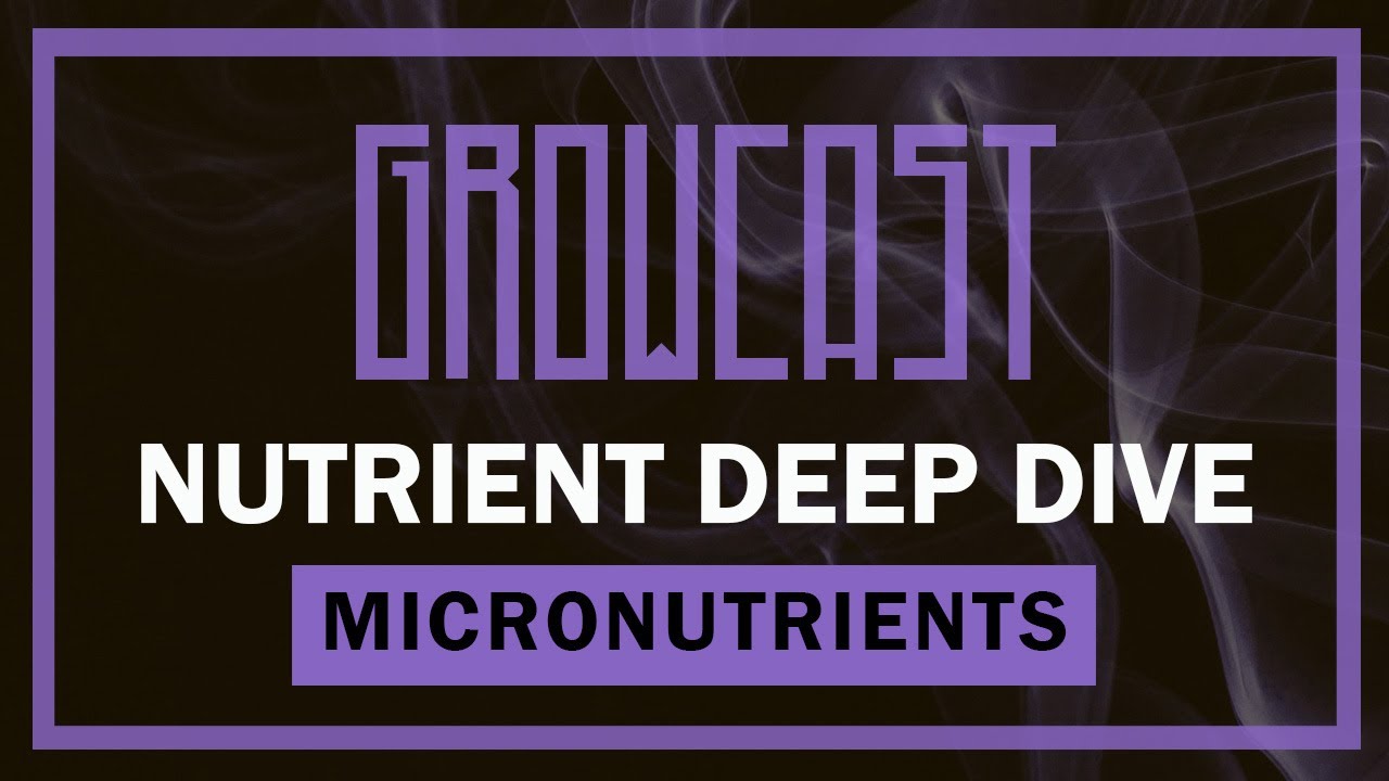 🤏Micronutrients, Hollow Stems, and Nutrient Antagonization, with Nik from Rooted Leaf