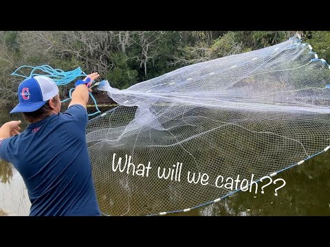 Cast Netting Suburban Ponds!!! 