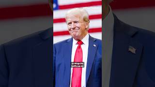 ‘Trump’s answer to almost everything is tariffs’ #shorts
