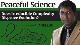 Does Irreducible Complexity Disprove Evolution?