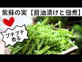 【紫蘇の実】醤油漬けと佃煮（ふりかけ）作り方/レシピ